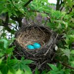 Monzo and Nest Pensions centre target self-employed pension gap