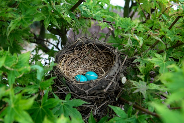 landon-martin-_UQgnpzyVo0-unsplash Monzo and Nest Pensions centre target self-employed pension gap