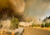 DUAL expands ZestyAI deal for California wildfire cover