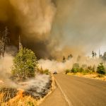 DUAL expands ZestyAI deal for California wildfire cover