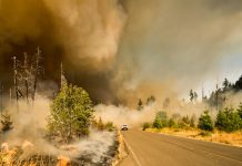 DUAL expands ZestyAI deal for California wildfire cover