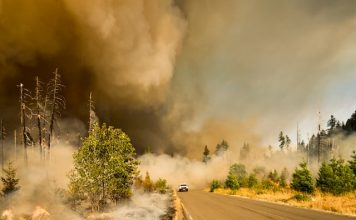 DUAL expands ZestyAI deal for California wildfire cover