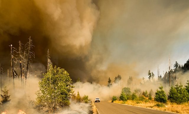 DUAL expands ZestyAI deal for California wildfire cover