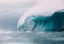 TPG-backed Third Wave accelerates insurance roll-up