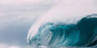 TPG-backed Third Wave accelerates insurance roll-up