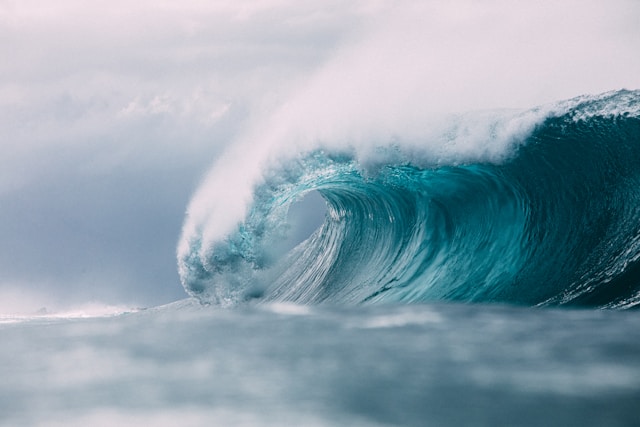 TPG-backed Third Wave accelerates insurance roll-up