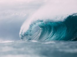 Genki acquires InsurTech Wave Claims and Claim OS Genki acquires InsurTech Wave Claims and Claim OS