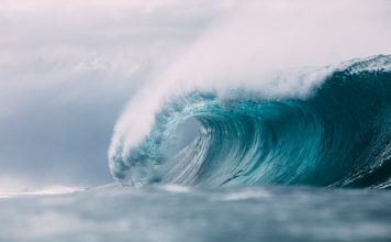 Genki acquires InsurTech Wave Claims and Claim OS Genki acquires InsurTech Wave Claims and Claim OS