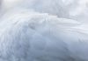 Feathery lands $30m to rewire financial services workflows