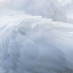 Feathery lands $30m to rewire financial services workflows
