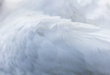 Feathery lands $30m to rewire financial services workflows