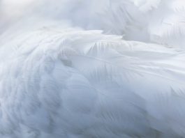 Feathery lands $30m to rewire financial services workflows Feathery lands $30m to rewire financial services workflows