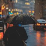 Cowbell unveils OMNI to transform specialty insurance