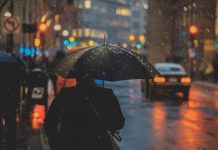 Cowbell unveils OMNI to transform specialty insurance
