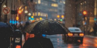 Cowbell unveils OMNI to transform specialty insurance