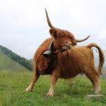 etoro unveils AI-first app with proactive agent Tori