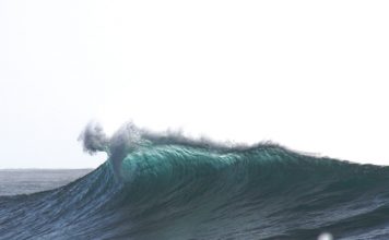 Zywave expands AI platform to reshape insurance growth Zywave expands AI platform to reshape insurance growth