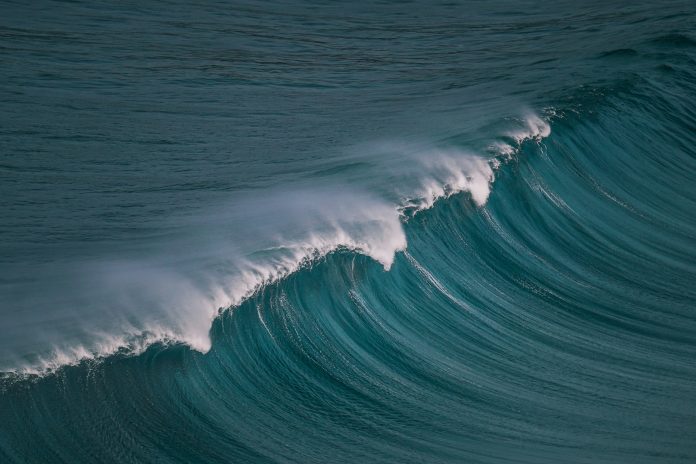 tino-rischawy-2ONGY4I82lg-unsplash PEX