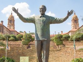Datavault AI joins Mandela Dollar stablecoin venture