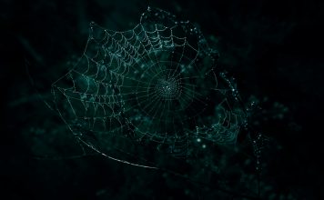 Why your financial crime risk assessment is failing you risks
