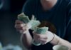 Varo takes on the cash problem facing digital banks Varo takes on the cash problem facing digital banks