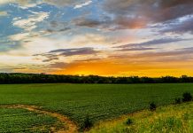 MMA targets Midwest growth with Accel Holdings acquisition MMA targets Midwest growth with Accel Holdings acquisition