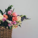 Solace Care nets €2.1m to redefine end-of-life care