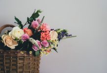 Solace Care nets €2.1m to redefine end-of-life care