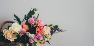 Solace Care nets €2.1m to redefine end-of-life care