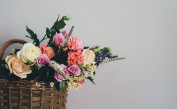 Solace Care nets €2.1m to redefine end-of-life care