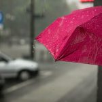 Life and health underwriters trust AI despite slow rollout