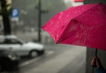 Life and health underwriters trust AI despite slow rollout