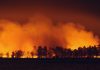 RockRose Risk lands $12.5m Series A for wildfire cover