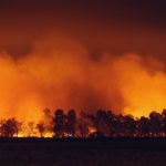 RockRose Risk lands $12.5m Series A for wildfire cover