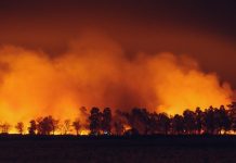 RockRose Risk lands $12.5m Series A for wildfire cover