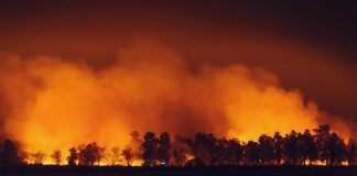 RockRose Risk lands $12.5m Series A for wildfire cover