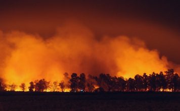 RockRose Risk lands $12.5m Series A for wildfire cover