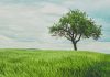 LendingTree broadens financial marketplace ambitions