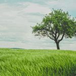 LendingTree broadens financial marketplace ambitions
