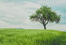 LendingTree makes its boldest marketplace move yet LendingTree broadens financial marketplace ambitions