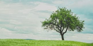 LendingTree broadens financial marketplace ambitions
