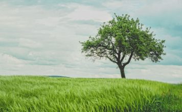 LendingTree broadens financial marketplace ambitions