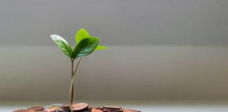 Perplexity taps Flanks to make wealth AI trustworthy