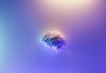 Plaid and Sierra target the next era of AI-powered finance