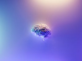 Plaid and Sierra target the next era of AI-powered finance