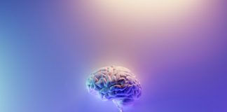 Plaid and Sierra target the next era of AI-powered finance