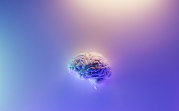 Plaid and Sierra target the next era of AI-powered finance Plaid and Sierra target the next era of AI-powered finance