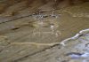 ZestyAI's Z-WATER wins approval in 20+ US states