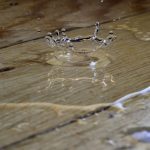 ZestyAI's Z-WATER wins approval in 20+ US states