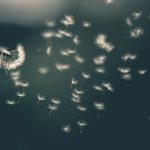 GoWish nets €13.4m to fuel US growth push